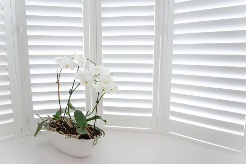 Exterior Shutters Installation in Richmond, VA
